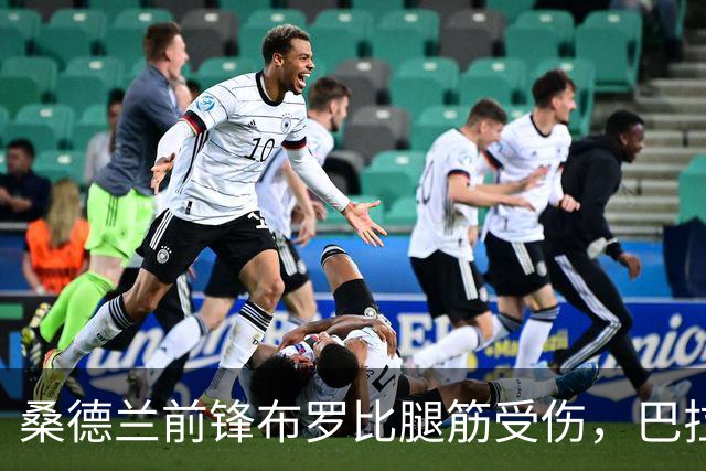 桑德兰前锋布罗比腿筋受伤，巴拉德同样无缘对阵布莱顿